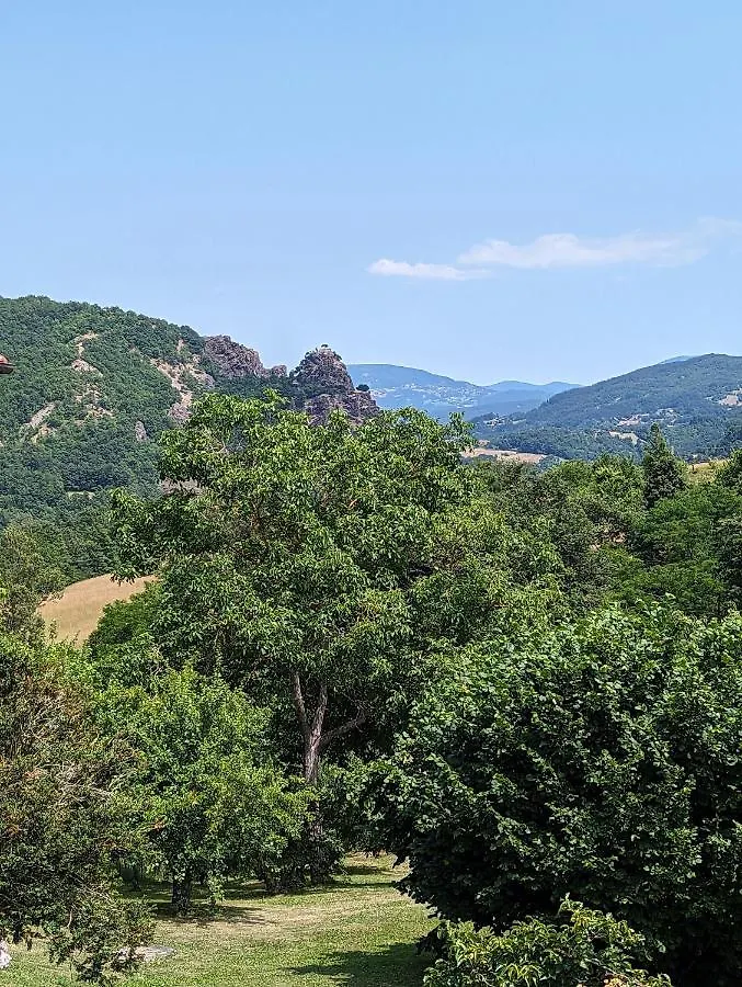 B&B Il Tartufo Sozzi Bed & Breakfast